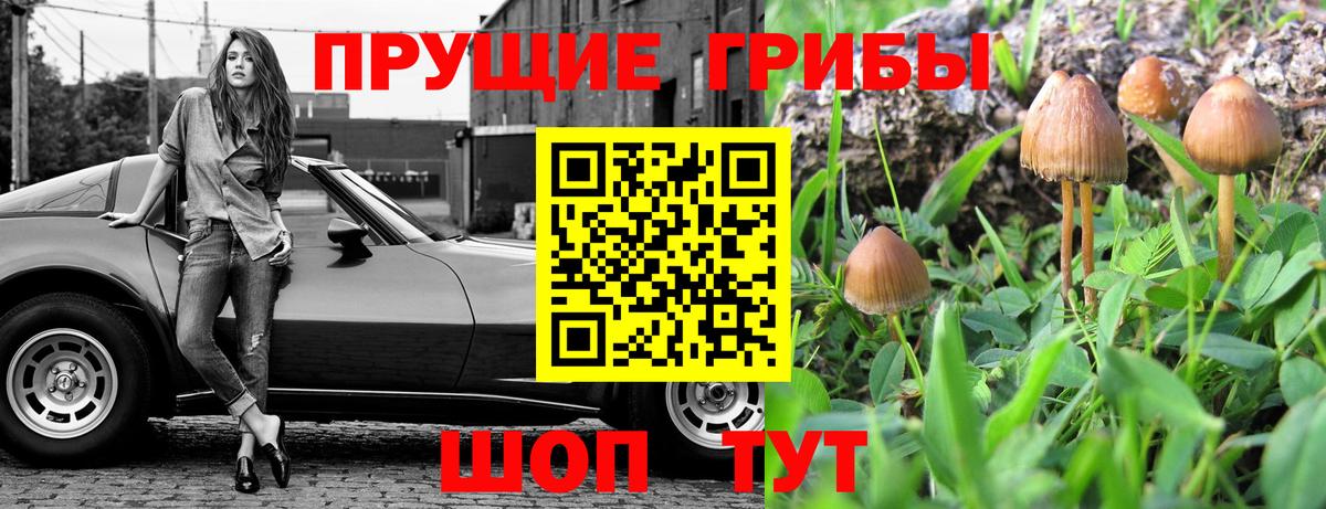 Псилоцибиновые грибы ЛСД Луховицы